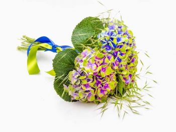 šopek-si-moj-navdih