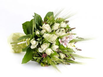 šopek snežna kraljica