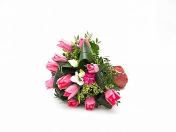 šopek spoštujem te