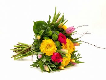 šopek zvezda privlačnosti